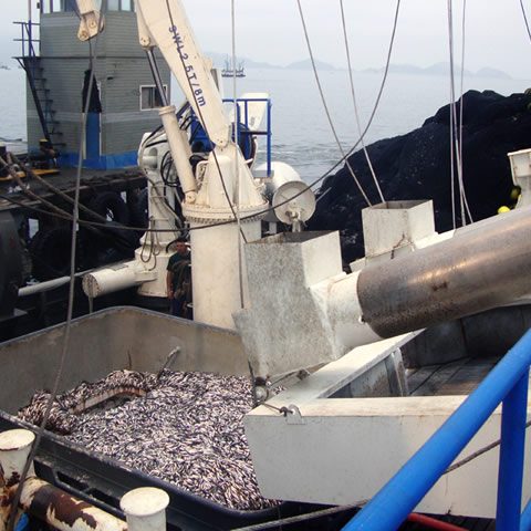 Pesca – Fluid Engineering SAC Tubos y accesorios HDPE lisos y ...